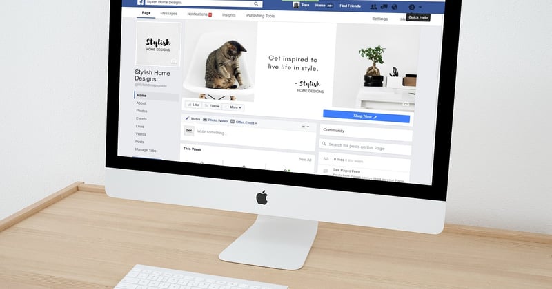 How to Create a Customer Loyalty Program for Startups That Works