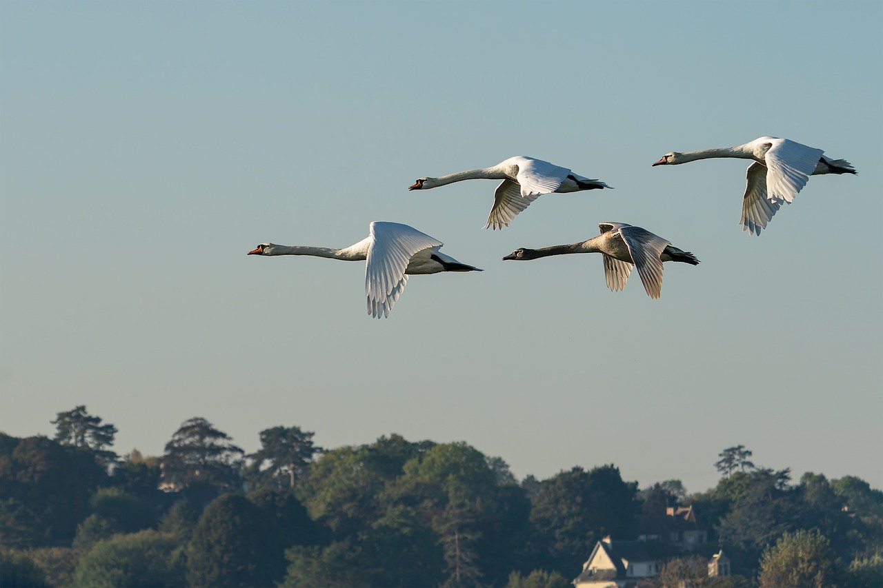 What are the key considerations for migrating to cloud-based systems?
