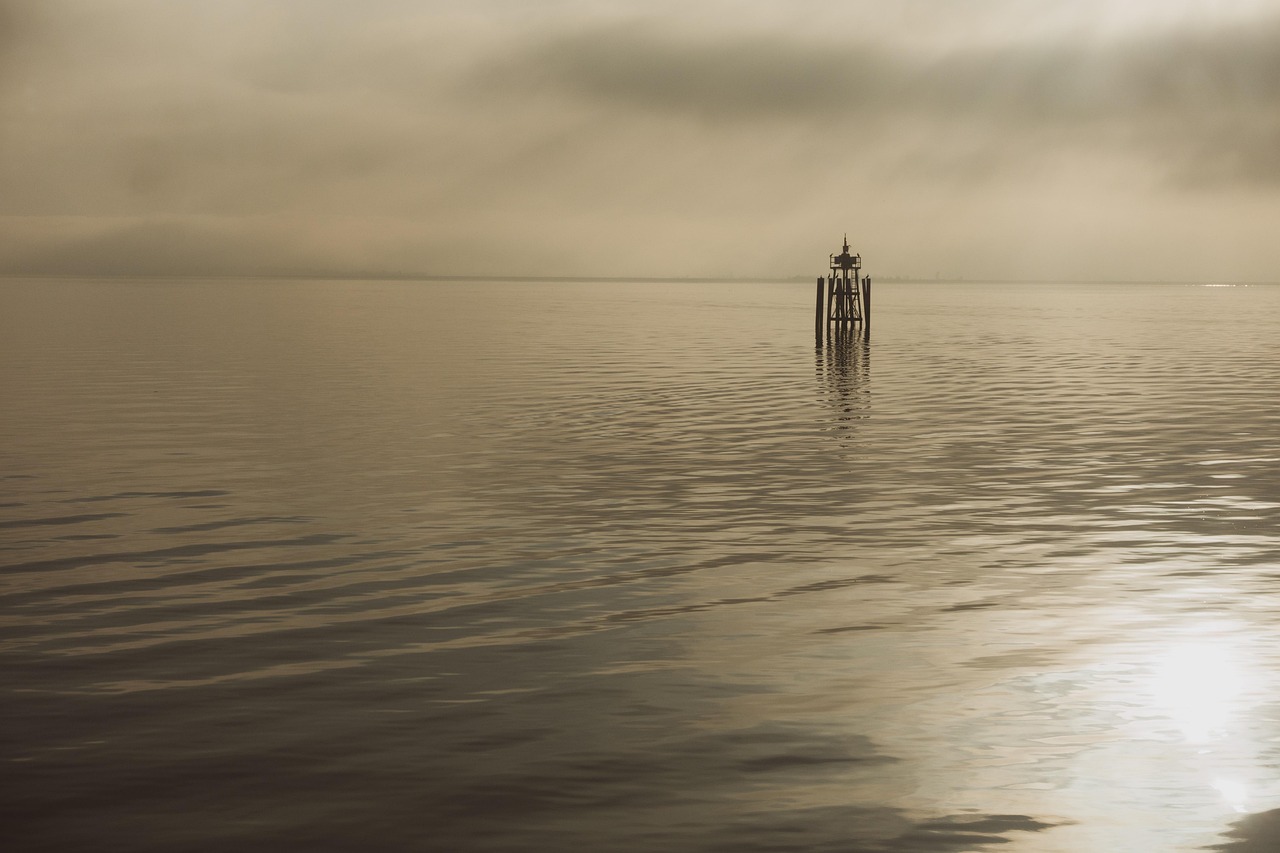 discover the power of calmness and how embracing tranquility can improve your well-being, reduce stress, and enhance focus in your daily life.