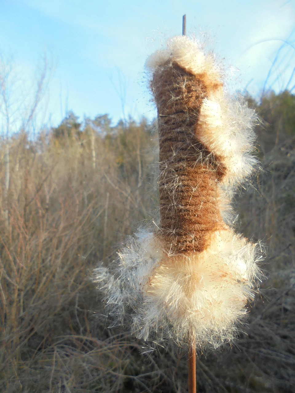 learn about the process and meaning of 'dissolve' in various contexts, including chemistry, business, and everyday uses. discover definitions, examples, and tips for understanding and using the term effectively.